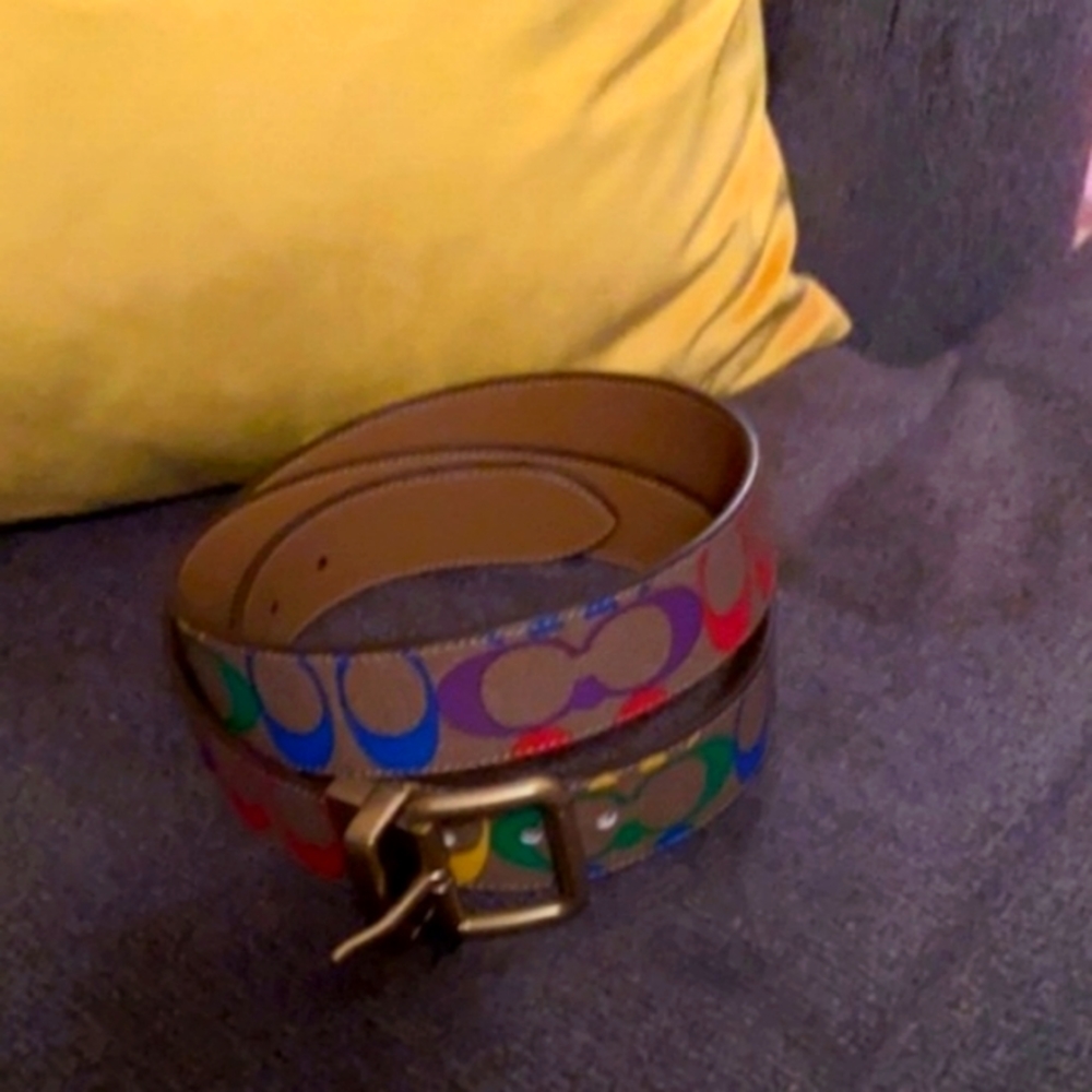 Coach pride collection belt